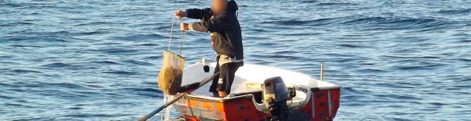 PESCA DI FRODO: BLITZ DELLA CAPITANERIA DI PORTO DI ORTONA CHE HA SEQUESTRATO 1500 RICCI