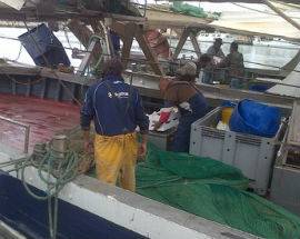 PESCA: ALLARME MARINERIE, ”DALL’UE TROPPE RESTRIZIONI”