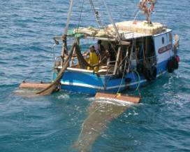 INQUINAMENTO MARE: MARSILIO, ”SERVONO PESCATORI ECOLOGICI”