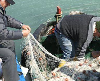PESCA: ‘DA UE NORMA TAGLIA-GIORNATE IN MARE, 40 PER CENTO PRODUZIONE A RISCHIO’