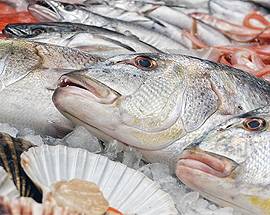 PESCARA: SEQUESTRATI 600 CHILI DI PESCE DA VENDERE IN NERO
