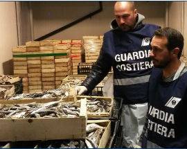 PESCE SENZA TRACCIABILITA’, MAXI SEQUESTRO DEI NAS