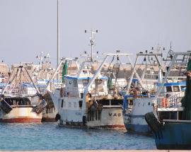 PESCA ABRUZZO: PUBBLICATI BANDI PER CONTRIBUTI PROGRAMMA FEAMP