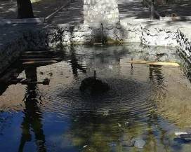 L’AQUILA: A PAGANICA ‘LA PESCHIERA DELLA DISCORDIA’, AVVOCATO PETRILLI, ”CITTADINI TENUTI ALL’OSCURO”
