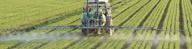 PESTICIDI IN ABRUZZO: 5 LE  FALDE ACQUIFERE CONTAMINATE, MA SCARSO IL MONITORAGGIO