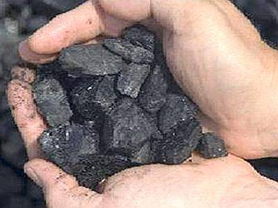 ORTONA: PETCOKE, WWF CHIEDE ALL’AMMINISTRAZIONE IMPEGNO IMMEDIATO