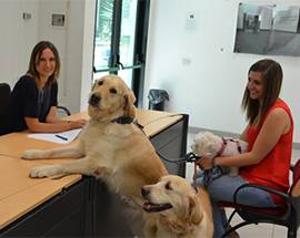 TERAMO: VETERINARIA, BOOM DI ISCRITTI AL TEST PER IL CORSO MAGISTRALE