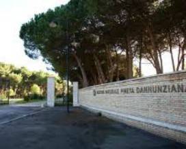 PESCARA: PINETA DANNUNZIANA, INTERVENTI PER 315 MILA EURO