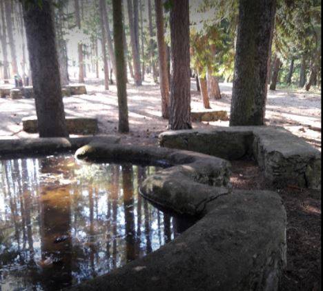 L’AQUILA: AL VIA RIQUALIFICAZIONE PINETA ROIO, CURA DEL VERDE E SENTIERI