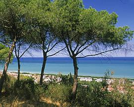 DA 50 ANNI IN VACANZA SEMPRE A PINETO, SINDACO LA PREMIA