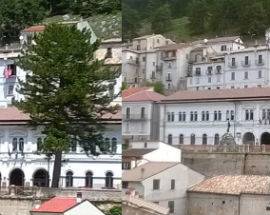 CASTEL DEL MONTE: ABBATTUTI GLI STORICI PINI DEL PARCO DELLA RIMEMBRANZA