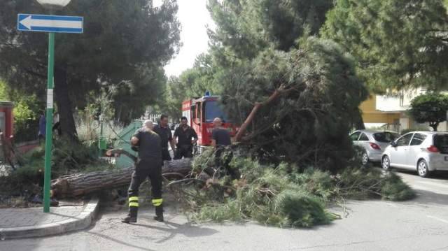 PINO CADE SU STRADA A PESCARA SFIORANDO AUTO DI PASSAGGIO NEL CENTRALE VIALE KENNEDY