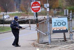 ORRORE ALLO ZOO DI PITTSBURGH: BIMBO DI 3 ANNI SBRANATO DA LICAONI