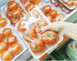 PESCARA: ”DIETA DELLA PLASTICA”, LIBRO-DENUNCIA SU ESPOSIZIONE A VELENI