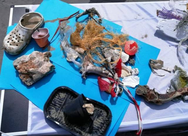 ”TUTTA LA PLASTICA DEL MARE” ESPOSTA A PESCARA: WWF, ”SALVIAMO IL MEDITERRANEO”