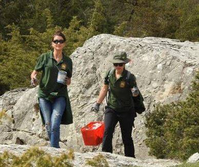 PARCO ABRUZZO: VOLONTARI A SUPPORTO SERVIZI TECNICI E SCIENTIFICI