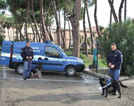 QUESTURA PESCARA: ATTIVATA SQUADRA CINOFILI, AVRA’ 8 CANI