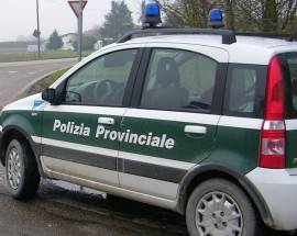 POLIZIA PROVINCIALE IN AVVALIMENTO ALLA REGIONE: ECCO LE ATTIVITA’ SVOLTE