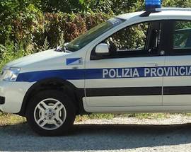 POLIZIA PROVINCIALE: CISL E UIL, ”REGIONE RISPETTI GLI IMPEGNI PRESI”