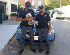 UBRIACO FA VOLARE CAGNOLINO, DENUNCIATO AD ALBA ADRIATICA