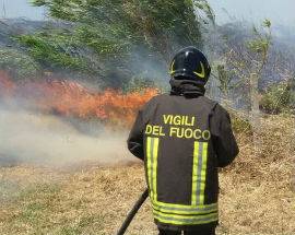 INCENDI: SIT-IN WWF E LEGAMBIENTE ‘BASTA ROGHI’ 2 SETTEMBRE A PESCARA