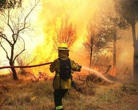 INCENDI BOSCHIVI: SINERGIA TRA CARABINIERI FORESTALI  E VIGILI DEL FUOCO