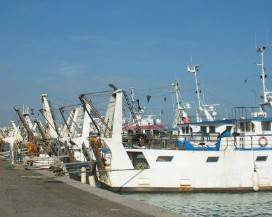 CADAVERE DI UN’ABRUZZESE RIPESCATO NEL PORTO DI SAN BENEDETTO DEL TRONTO
