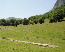 LUCOLI: COMUNE RISPEDISCE 56 ASINI AL PASCOLO SENZA AUTORIZZAZIONE IN TRENTINO