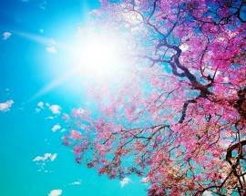 METEO: SPRAZZI DI PRIMAVERA, TEMPERATURE IN AUMENTO SU TUTTO L’ABRUZZO