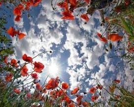 METEO: ANCORA INSTABILITA’ IN ABRUZZO, MA SI ”RIAFFACCIANO” TEMPERATURE PRIMAVERILI