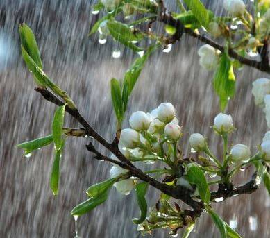 METEO ABRUZZO: ALTRI GIORNI DI PIOGGIA E FREDDO, ALLERTA GIALLA PROTEZIONE CIVILE