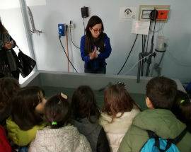 PINETO: CLASSI SCUOLA PRIMARIA IN VISITA CENTRO CETACEI DI PESCARA