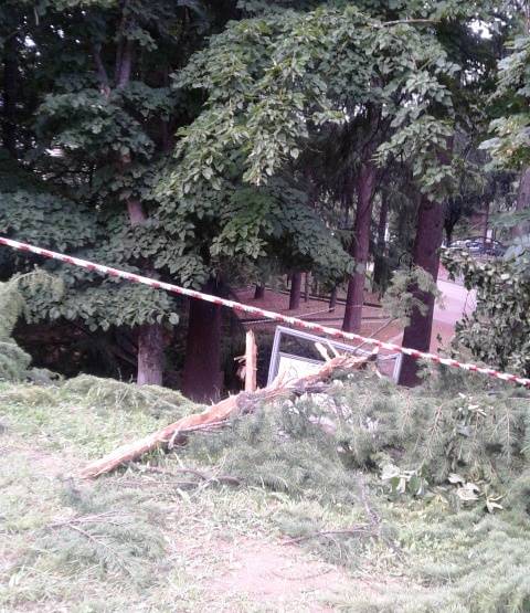 L’AQUILA: FULMINE CADUTO SU ALBERO, ZONA INTERDETTA