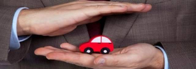 AUTO: ASSICURAZIONE AUMENTA NEL 2019, DANNI ANIMALI SELVATICI LA PIU’ RICHIESTA
