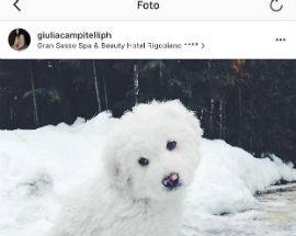 RIGOPIANO: DA FB A INSTAGRAM, I RICORDI DEGLI OSPITI VIP E NON