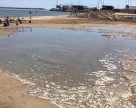 PESCARA: WWF”CAUSA PROBLEMI SPIAGGIA MADONNINA RIPASCIMENTO PRIVATO”