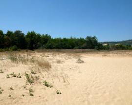 RISERVA MARINA VASTO: AL VIA OPERA TUTELA DUNA PER 20MILA EURO