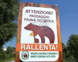 RISERVA MONTE GENZANA: COLPI DI ARMA DA FUOCO CONTRO CARTELLI, ”A QUALCUNO NON PIACCIONO GLI ORSI”