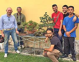 L’AQUILA: SI RIUNISCE IL CLUB ”BONSAI AQ”, ECCO COME CONTATTARLO