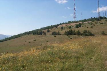 L’AQUILA, BRACCONIERI ALLA PINETA DI ROIO VICINO AI CENTRI ABITATI