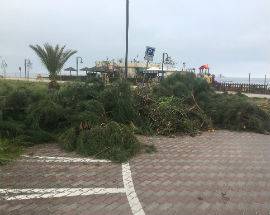 ROSETO: FDI-AN, ”CITTA’ NEL DEGRADO NONOSTANTE PROMESSE DI DI GIROLAMO”
