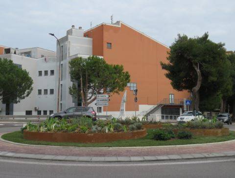 PINETO: AL VIA BANDO PER SPONSORIZZAZIONE E CURA DEL VERDE PUBBLICO