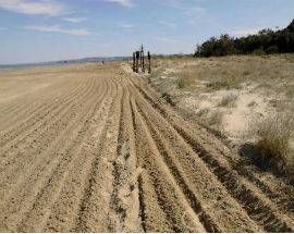 VASTO: RUSPE SU SPIAGGE, WWF DENUNCIA ”ENNESIMO DANNO AL SISTEMA DUNALE”