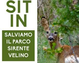 ”SALVIAMO IL PARCO SIRENTE VELINO”: SIT IN DI PROTESTA CONTRO RIPERIMETRAZIONE