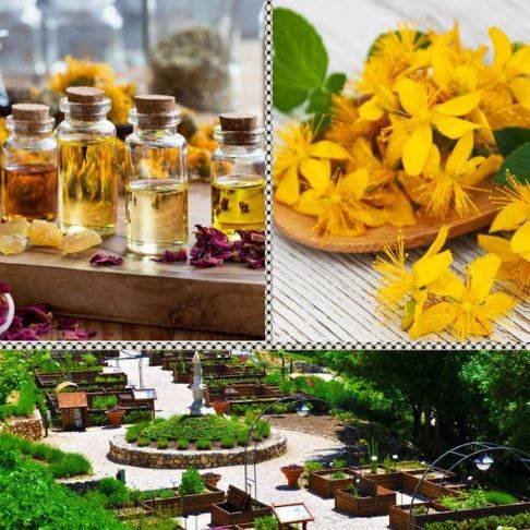 PARCO IN FIORE: AL CONVENTO SAN COLOMBO I SEGRETI DELLA COSMESI NATURALE