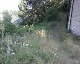 GRAN SASSO: IDV, ”SANTUARIO IENCA NEL DEGRADO, LO RIPULIAMO NOI!”