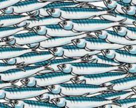 FACEBOOK OSCURA LA PAGINA UFFICIALE DELLE ”6.000 SARDINE”
