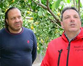 DANIELE ”JU SCIAMANO” BANELLI DAI PUB AI LIMONI DI AMALFI ”QUI HO RITROVATO ME STESSO”
