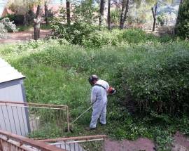 CHIETI: AREE VERDI SCOLASTICHE, AL VIA INTERVENTI DI PULIZIA E MANUTENZIONE