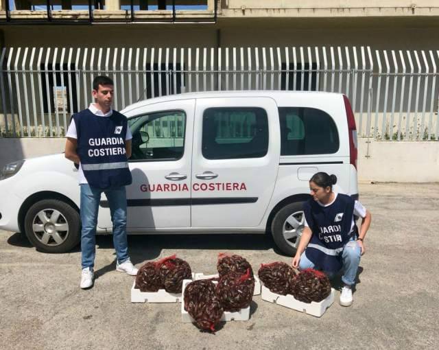 SEQUESTRATO UN QUINTALE DI COZZE IN NEGOZIO DEL CHIETINO